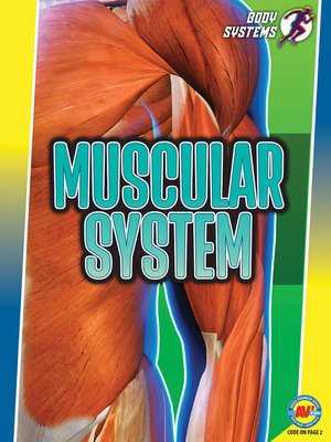 cover image of Muscular System